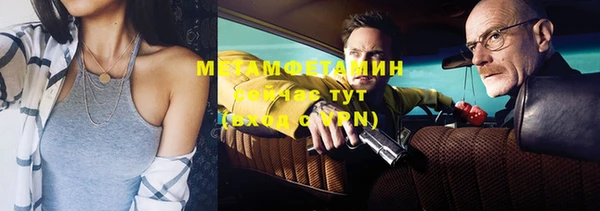 прущие грибы Михайловск