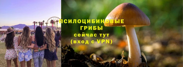 экстази Михайлов