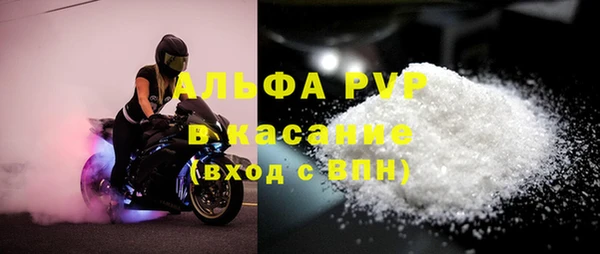прущие грибы Михайловск