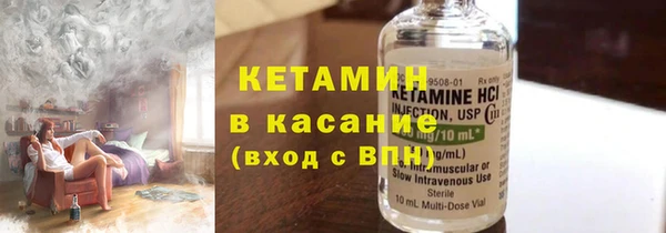 прущие грибы Михайловск