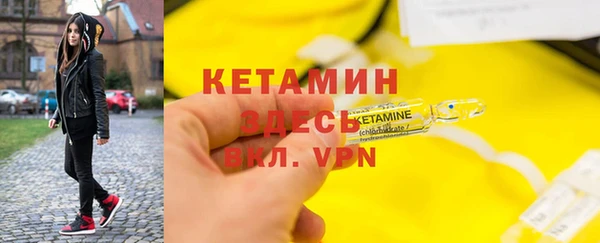прущие грибы Михайловск