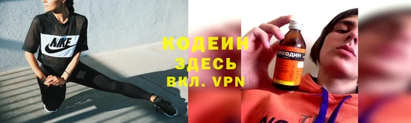 прущие грибы Михайловск