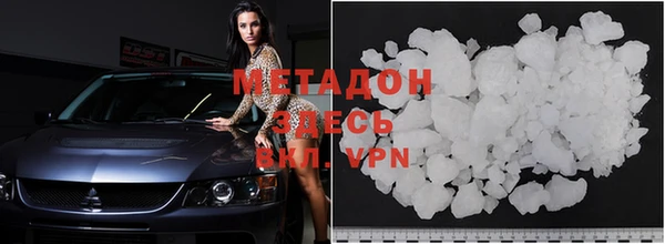 прущие грибы Михайловск
