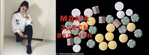 прущие грибы Михайловск