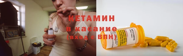 прущие грибы Михайловск