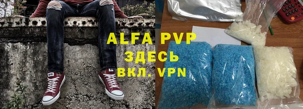 прущие грибы Михайловск