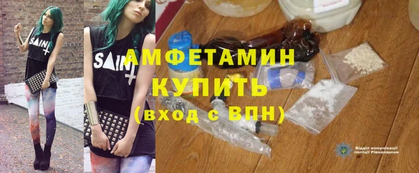 прущие грибы Михайловск