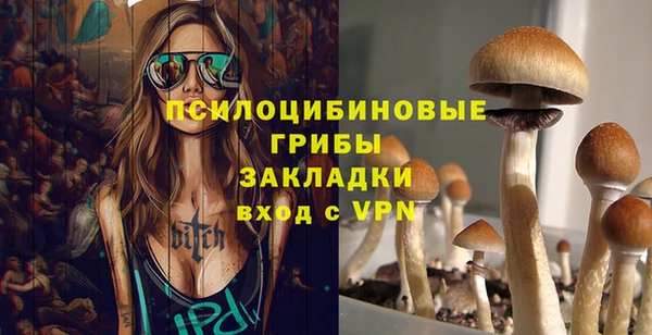 прущие грибы Михайловск
