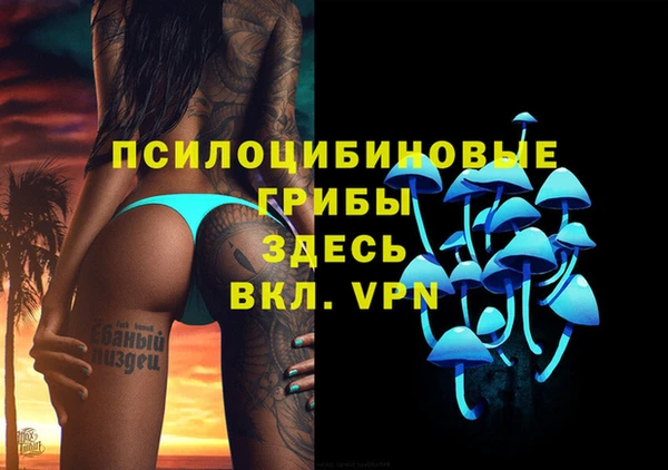 ГАЛЛЮЦИНОГЕННЫЕ ГРИБЫ Михайловка
