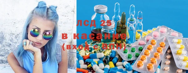 прущие грибы Михайловск