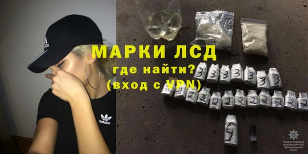прущие грибы Михайловск