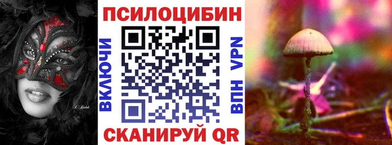 закладка  Иланский  Галлюциногенные грибы Psilocybine cubensis 