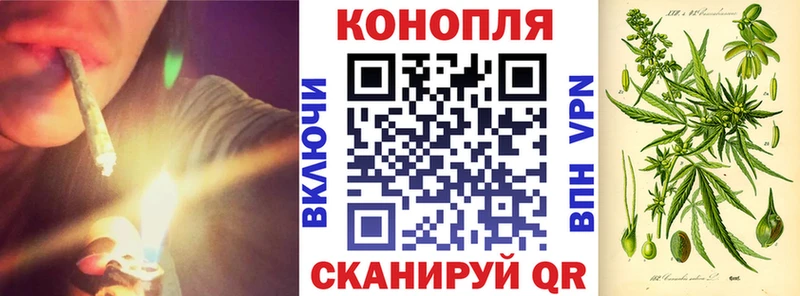 Каннабис план Иланский